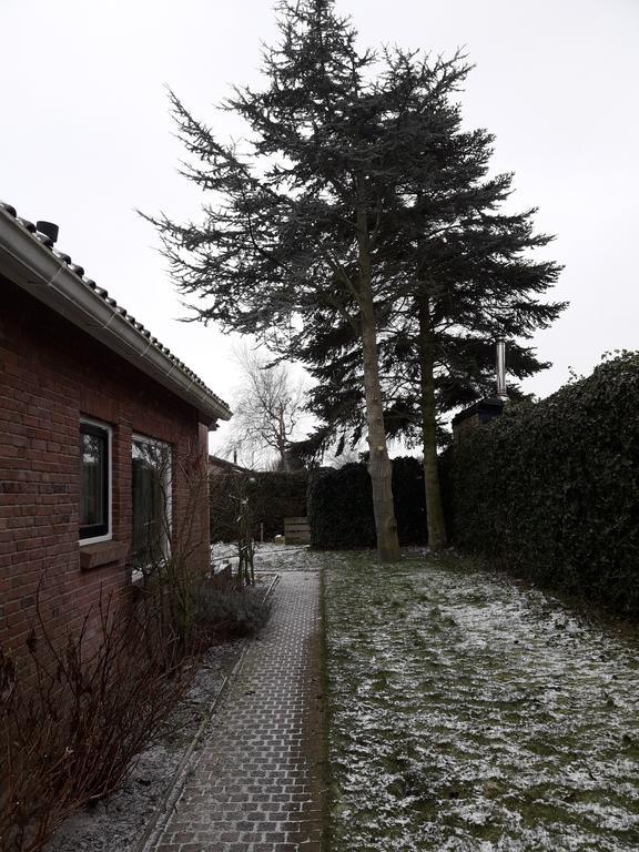 Zomerhuis De Zeedistel Egmond aan den Hoef Eksteriør bilde